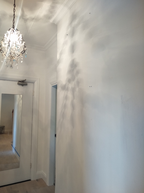 LMF Painters Gold Coast