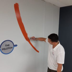 LMF Painters Gold Coast